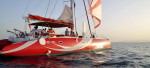 Complete Guide to El Gouna Catamaran Dolphin House Trip