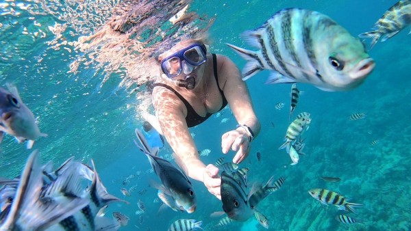 El Gouna: Half Day Snorkeling tour to Dolphin House with Refreshments