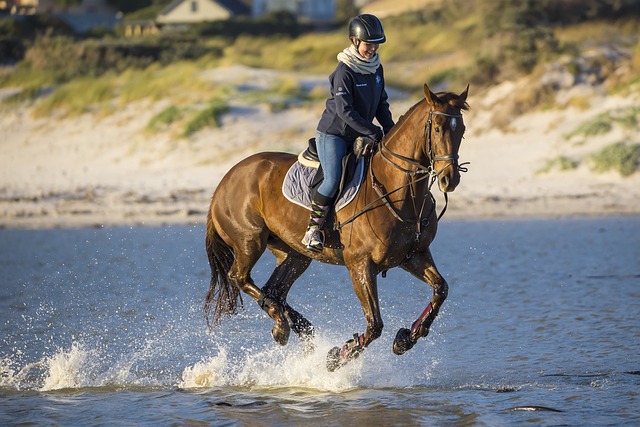 Horse riding in El Gouna is a real treat not to be missed