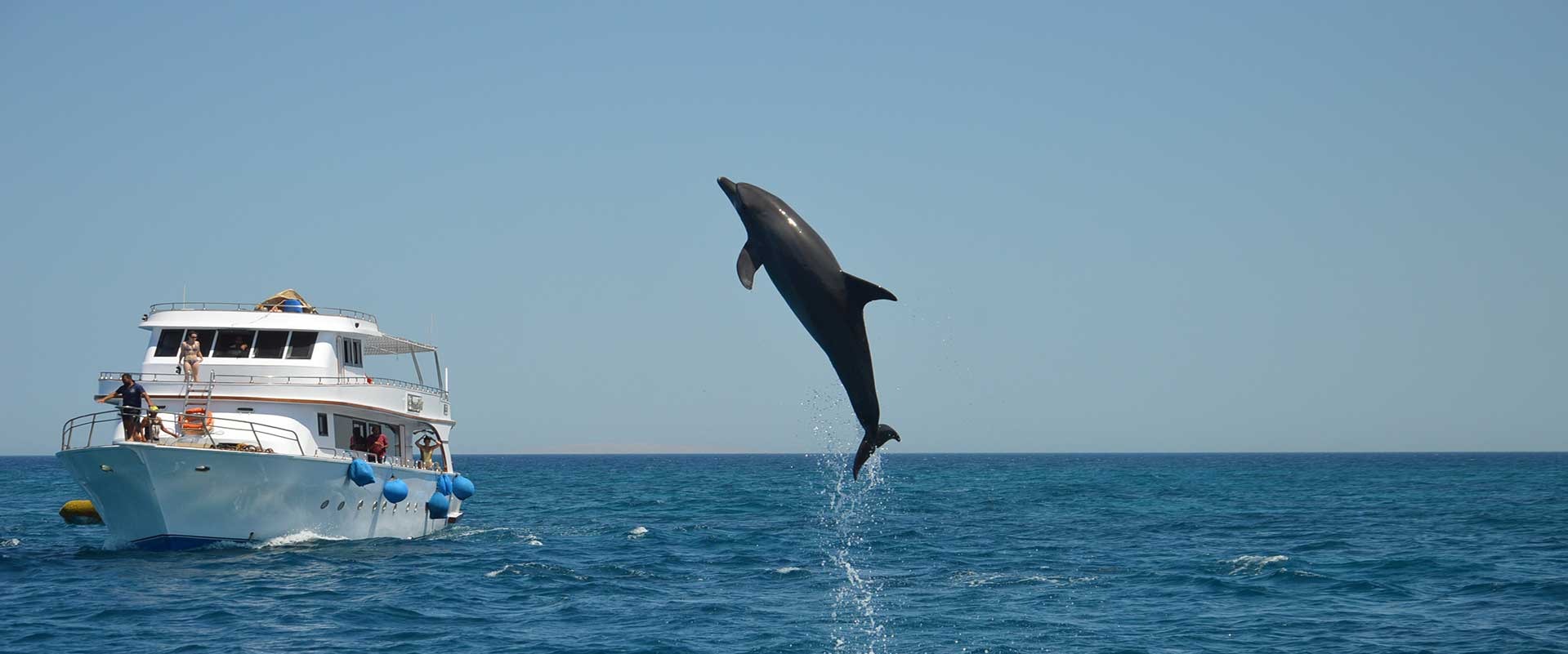 The most important snorkeling areas in dolphins House in Hurghada, Red Sea, Egypt