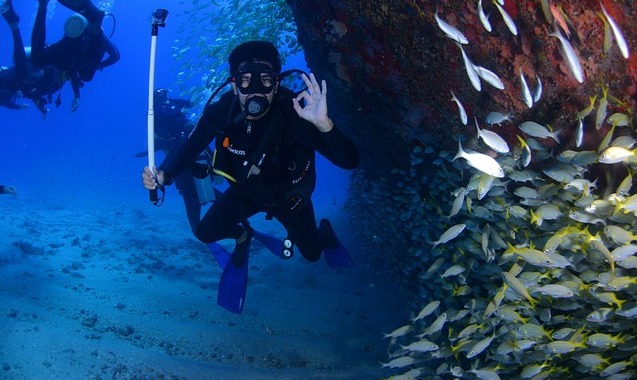 How to prepare for a diving trip for the first time in the Red Sea and enjoy it