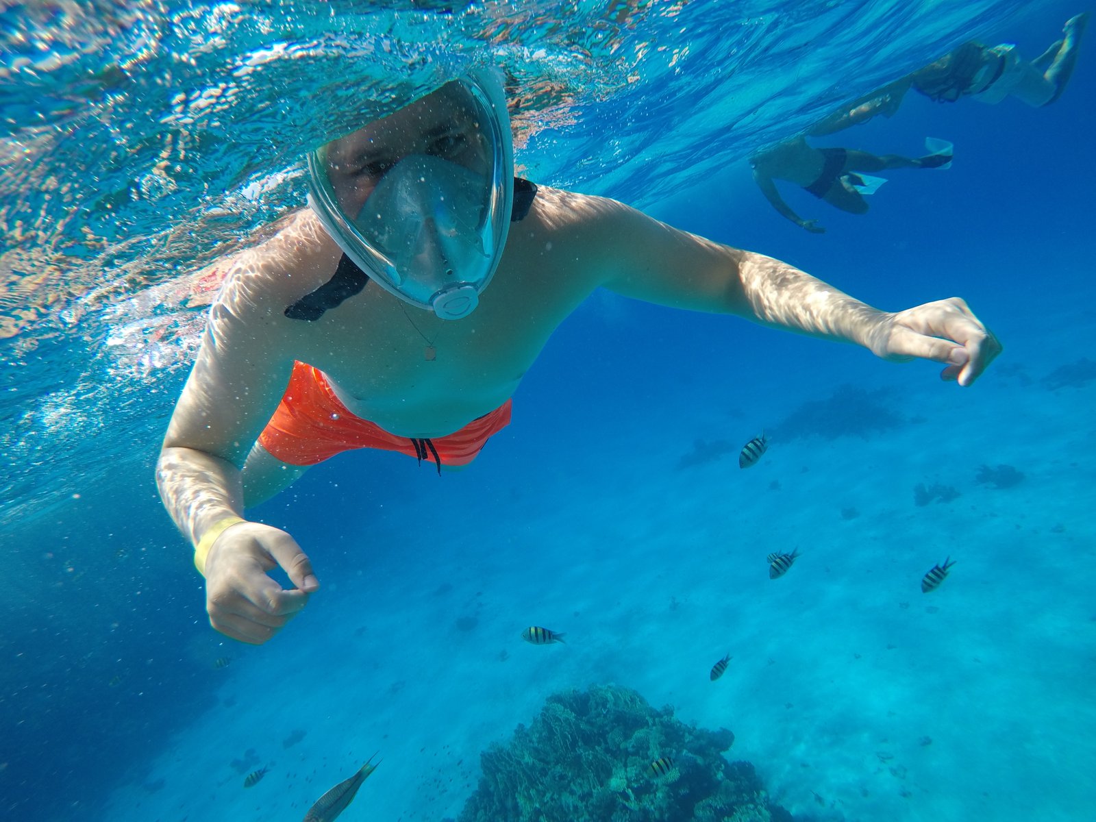 Snorkeling in El Gouna: Tips for an Unforgettable Underwater Adventure