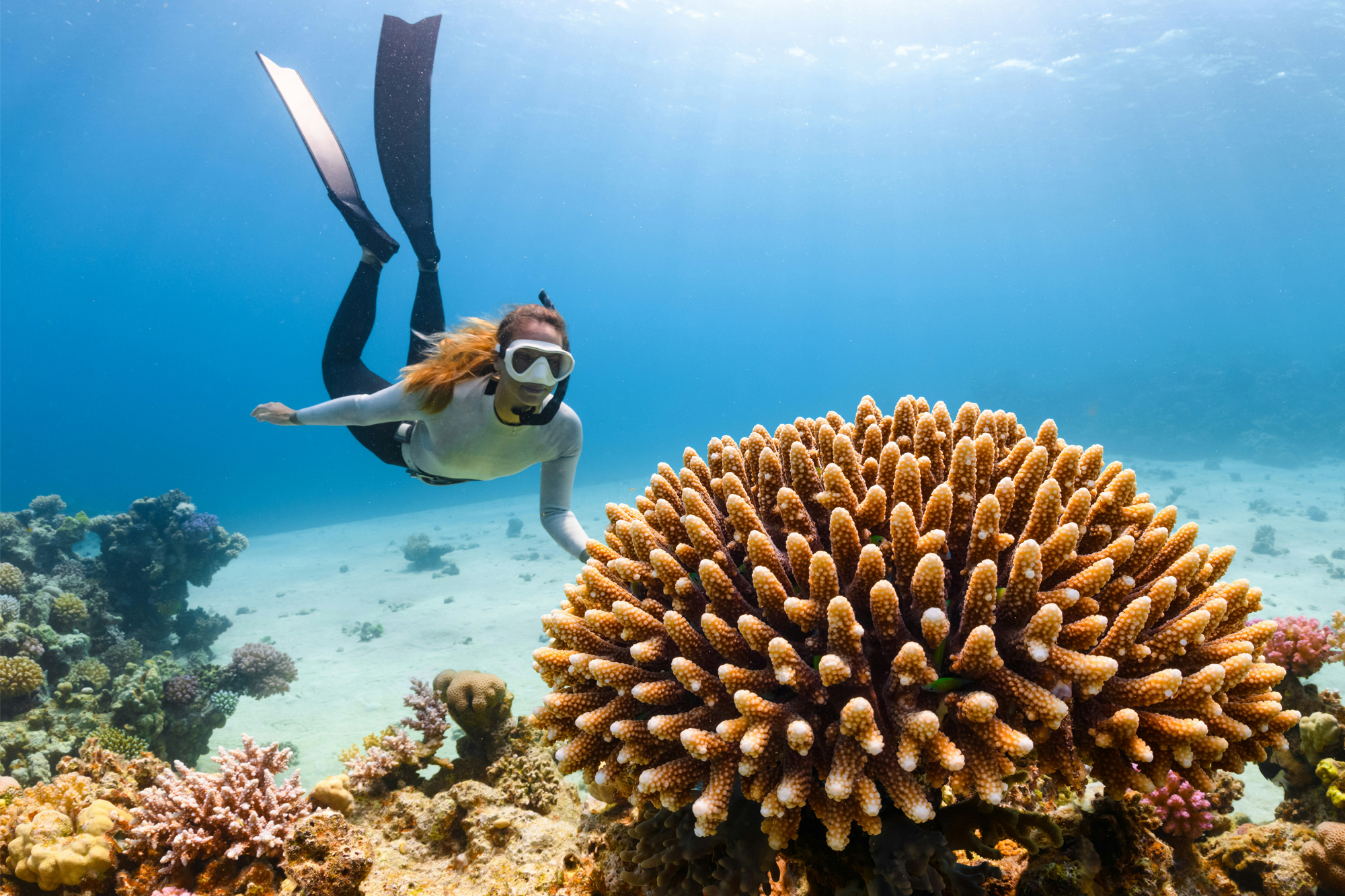 Top 15 Things to Do in Hurghada: Your Ultimate Holiday Guide