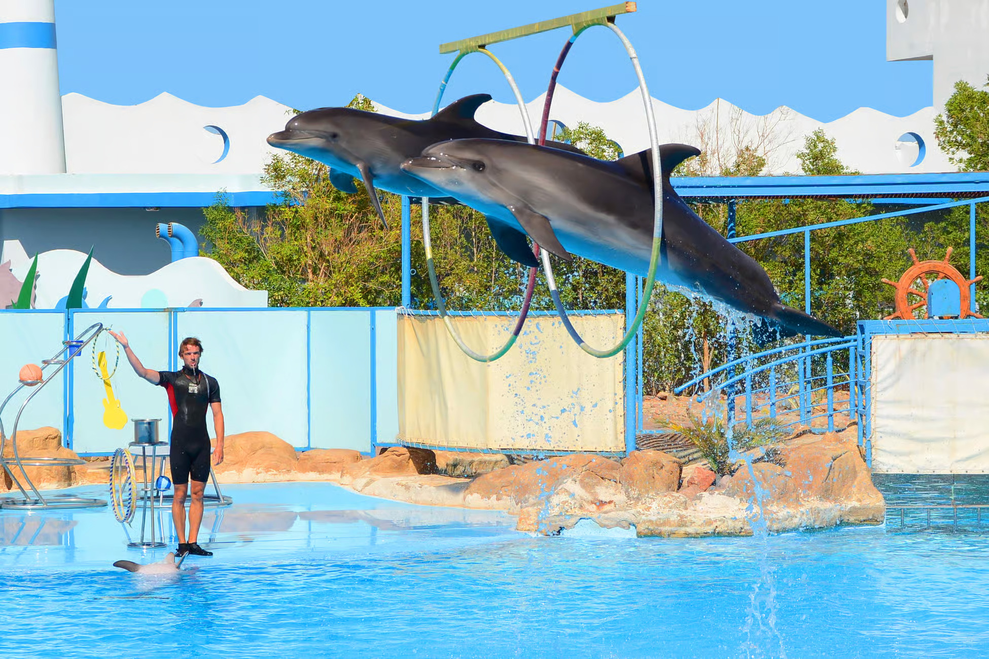 Hurghada: Dolphin World Show with Walruses, Hotel Pickup & Tickets