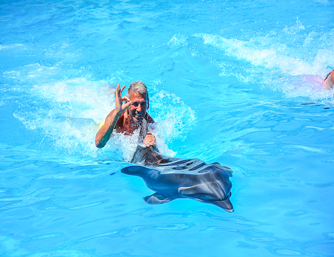 Hurghada: Private Dolphin Swim Experience with Hotel Pickup